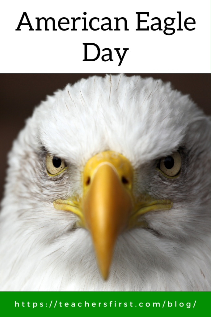 American Eagle Day TeachersFirst Blog