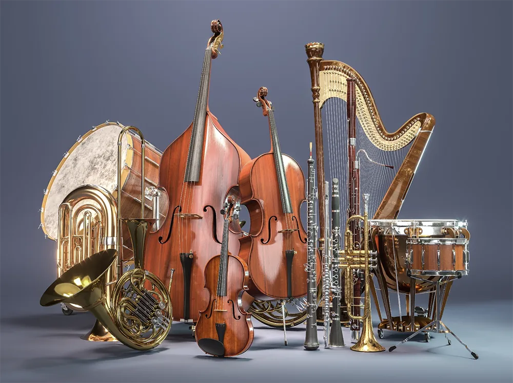 Symphony orchestra deals instruments list