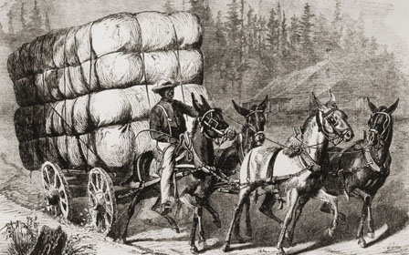 Horses with bales