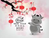 
  Chinese New Year image