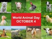 
  World Animal Day image